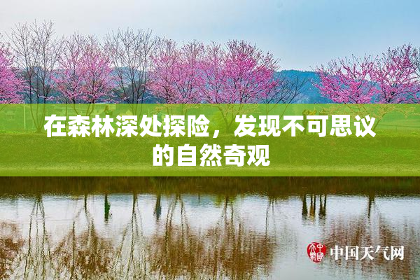 在森林深处探险，发现不可思议的自然奇观