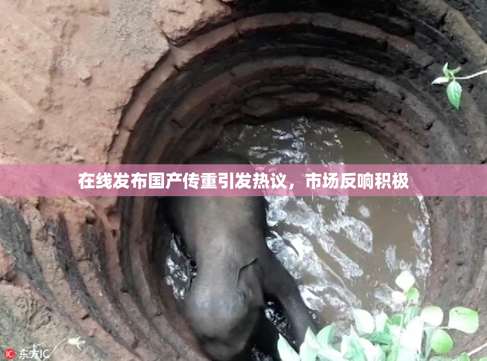 在线发布国产传重引发热议，市场反响积极