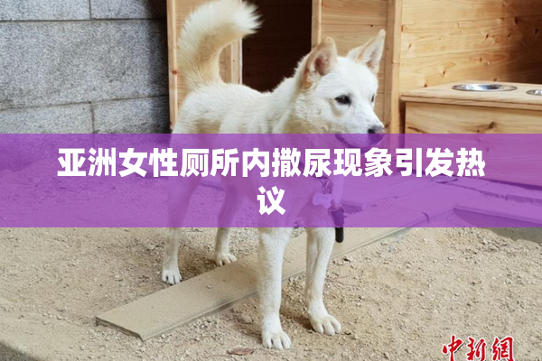 亚洲女性厕所内撒尿现象引发热议