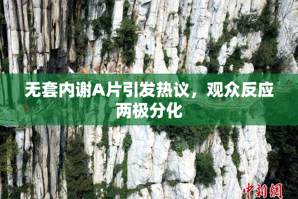 无套内谢A片引发热议，观众反应两极分化