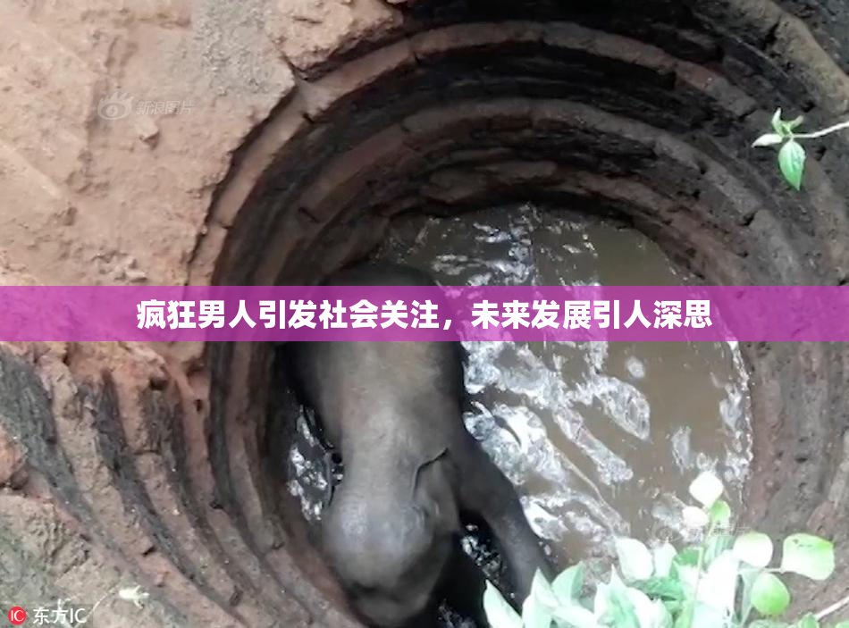 疯狂男人引发社会关注，未来发展引人深思