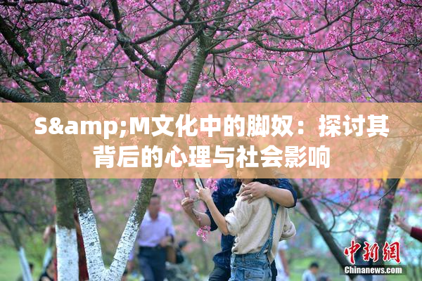 S&M文化中的脚奴：探讨其背后的心理与社会影响