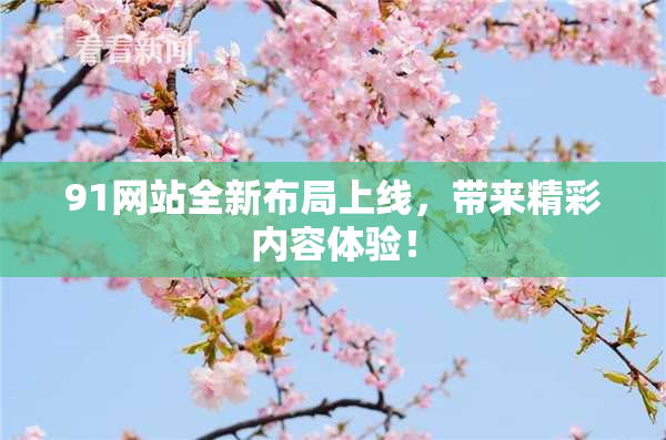 91网站全新布局上线，带来精彩内容体验！