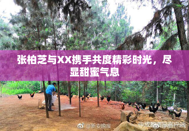张柏芝与XX携手共度精彩时光，尽显甜蜜气息