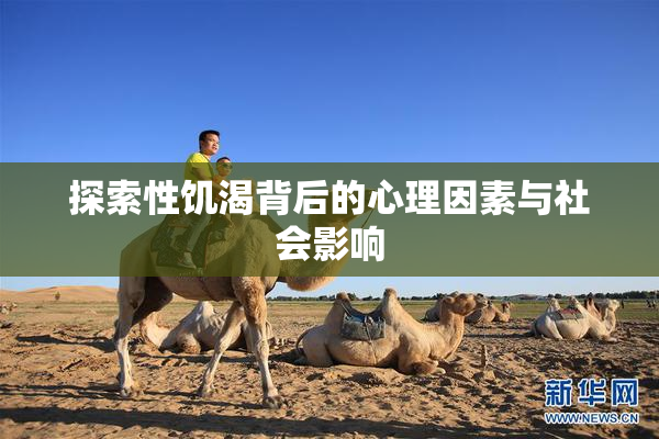 探索性饥渴背后的心理因素与社会影响