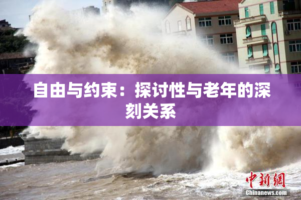 自由与约束：探讨性与老年的深刻关系