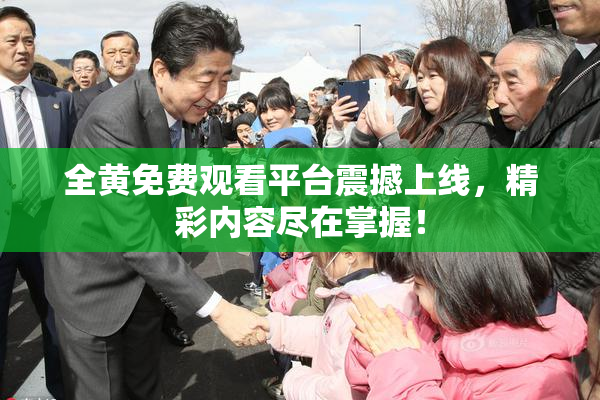 全黄免费观看平台震撼上线，精彩内容尽在掌握！