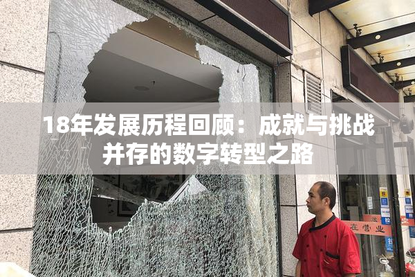 18年发展历程回顾：成就与挑战并存的数字转型之路