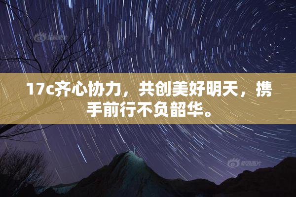 17c齐心协力，共创美好明天，携手前行不负韶华。