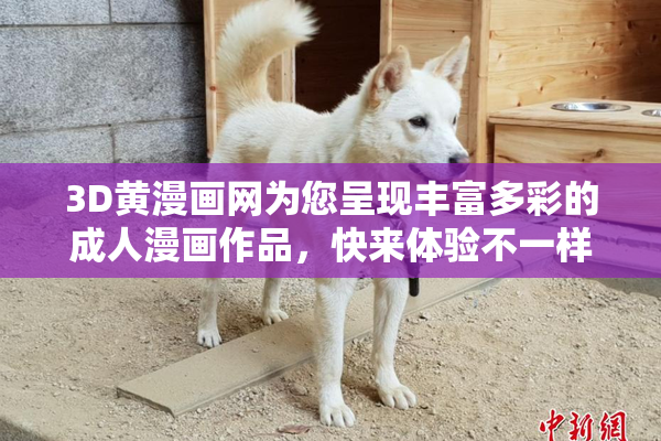 3D黄漫画网为您呈现丰富多彩的成人漫画作品，快来体验不一样的视觉盛宴！