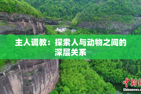 主人调教：探索人与动物之间的深层关系