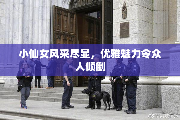 小仙女风采尽显，优雅魅力令众人倾倒