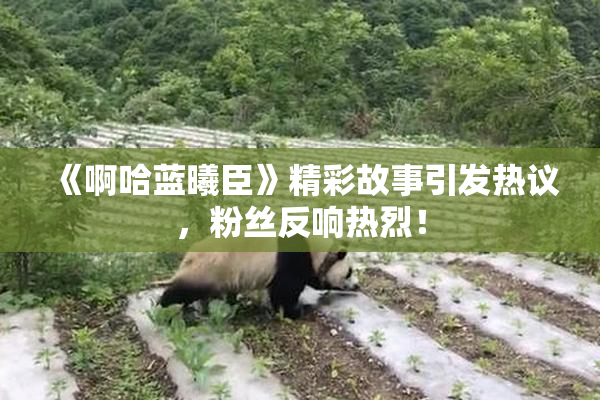 《啊哈蓝曦臣》精彩故事引发热议，粉丝反响热烈！