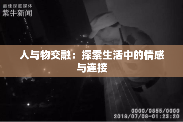人与物交融：探索生活中的情感与连接