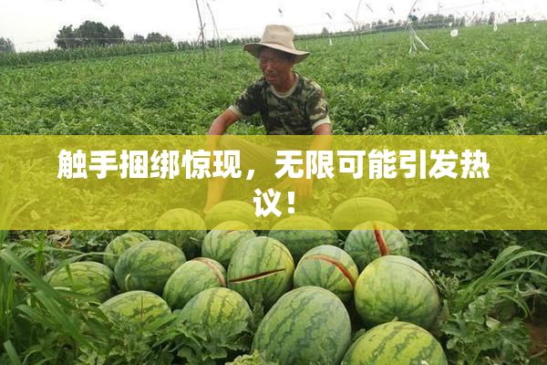 触手捆绑惊现，无限可能引发热议！