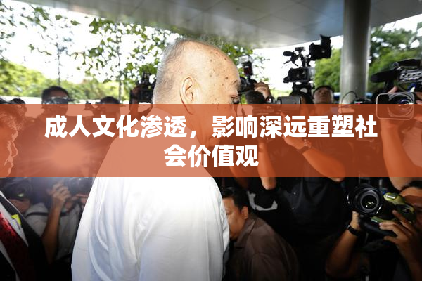 成人文化渗透，影响深远重塑社会价值观