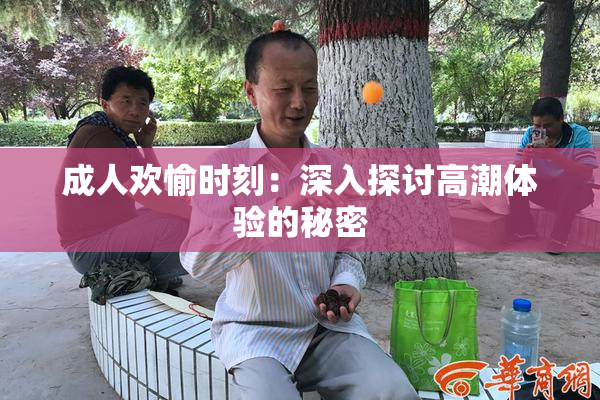 成人欢愉时刻：深入探讨高潮体验的秘密