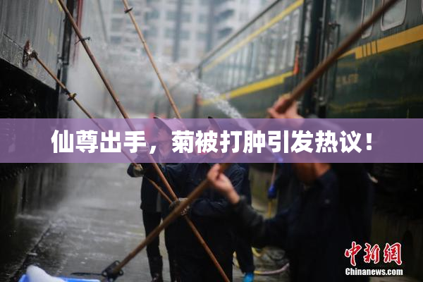仙尊出手，菊被打肿引发热议！