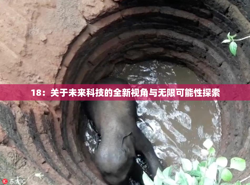 18：关于未来科技的全新视角与无限可能性探索