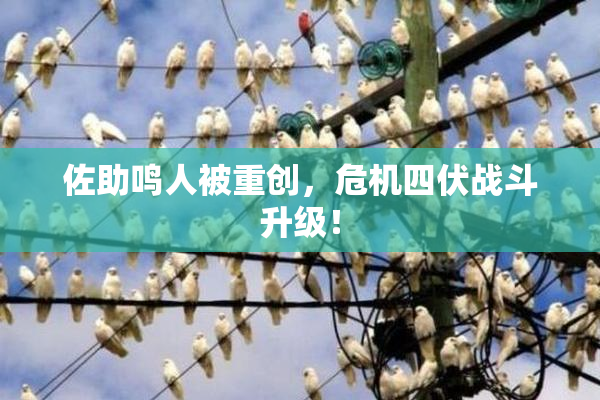 佐助鸣人被重创，危机四伏战斗升级！