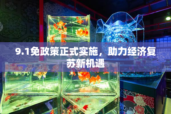 9.1免政策正式实施，助力经济复苏新机遇