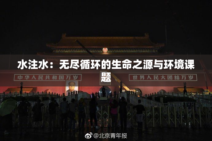 水注水：无尽循环的生命之源与环境课题