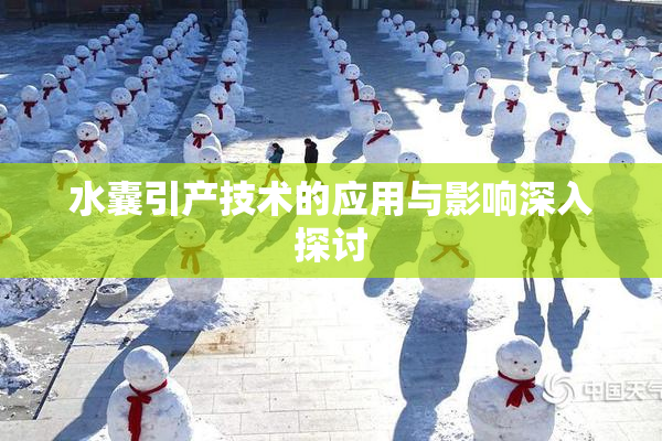 水囊引产技术的应用与影响深入探讨