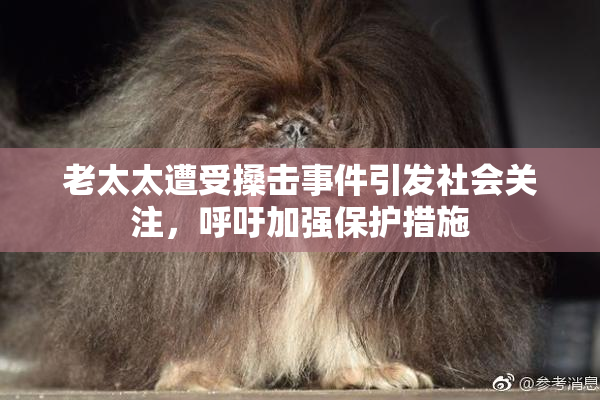 老太太遭受搡击事件引发社会关注，呼吁加强保护措施