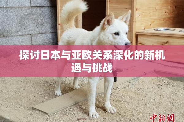 探讨日本与亚欧关系深化的新机遇与挑战