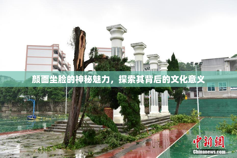 颜面坐脸的神秘魅力，探索其背后的文化意义