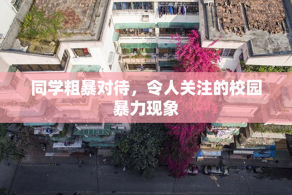 同学粗暴对待，令人关注的校园暴力现象