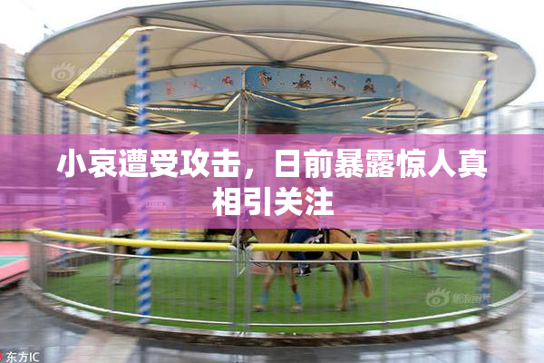 小哀遭受攻击，日前暴露惊人真相引关注