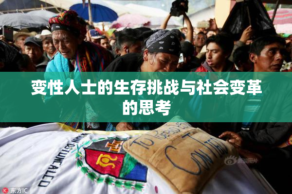 变性人士的生存挑战与社会变革的思考