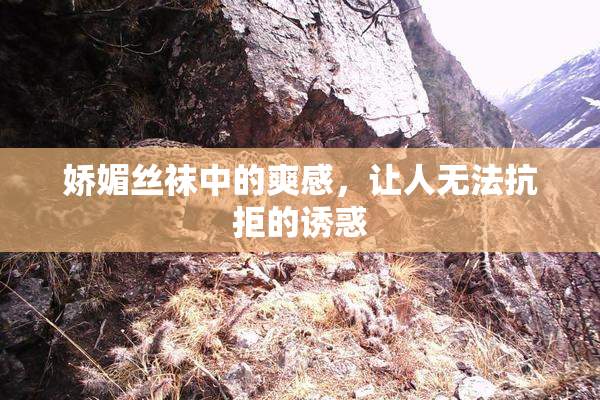 娇媚丝袜中的爽感，让人无法抗拒的诱惑
