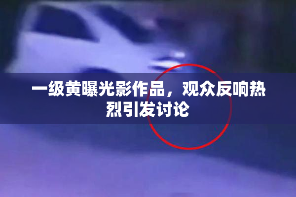 一级黄曝光影作品，观众反响热烈引发讨论