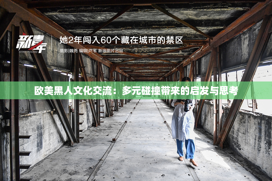 欧美黑人文化交流：多元碰撞带来的启发与思考