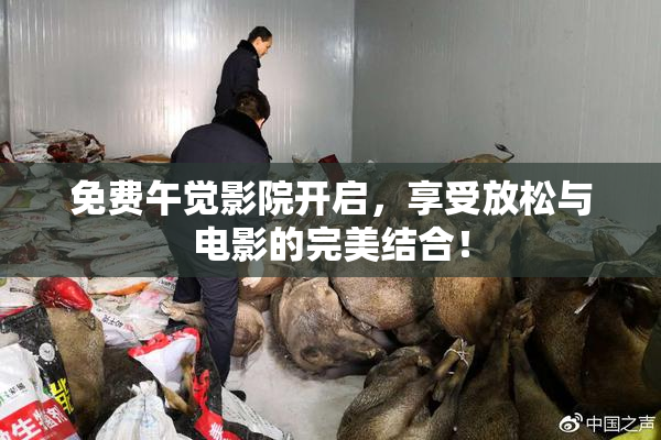 免费午觉影院开启，享受放松与电影的完美结合！