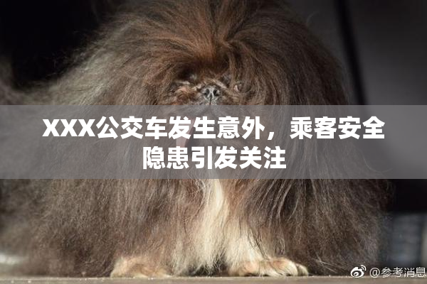 XXX公交车发生意外，乘客安全隐患引发关注