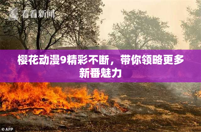 樱花动漫9精彩不断，带你领略更多新番魅力