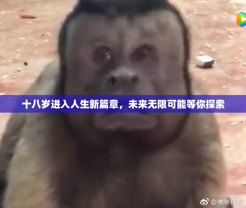 十八岁进入人生新篇章，未来无限可能等你探索