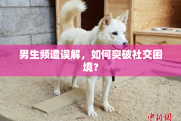男生频遭误解，如何突破社交困境？