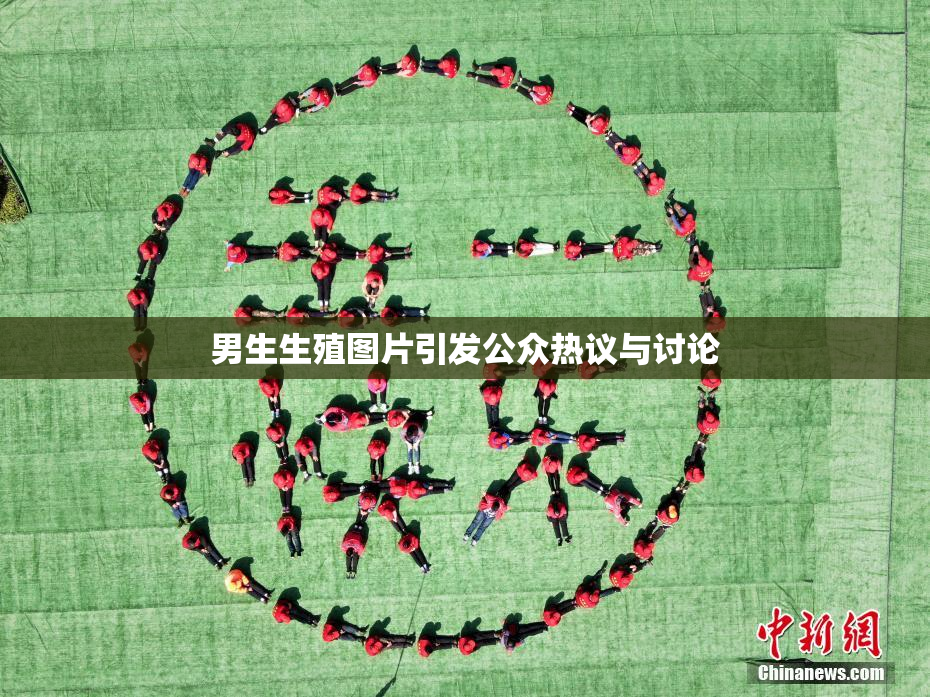 男生生殖图片引发公众热议与讨论