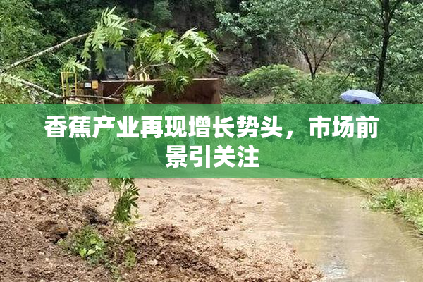 香蕉产业再现增长势头，市场前景引关注