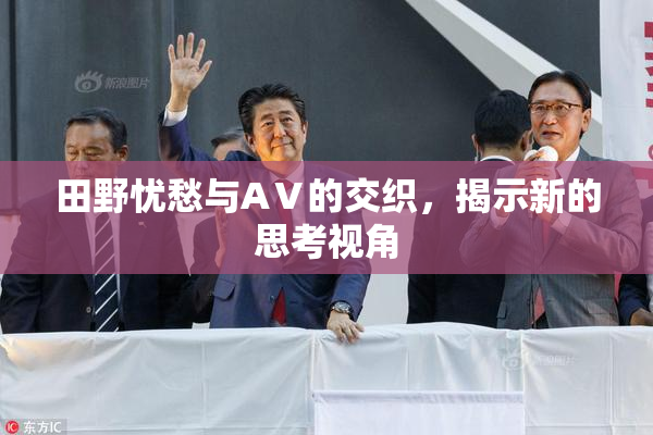 田野忧愁与AⅤ的交织，揭示新的思考视角