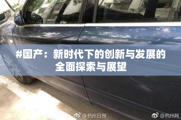 #国产：新时代下的创新与发展的全面探索与展望