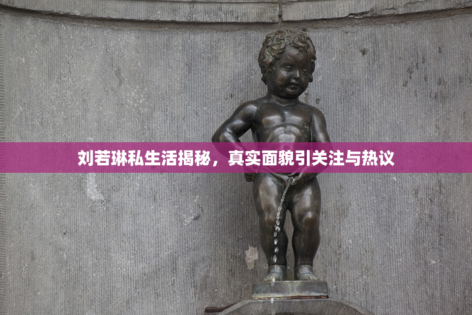 刘若琳私生活揭秘，真实面貌引关注与热议