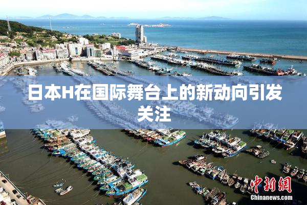 日本H在国际舞台上的新动向引发关注
