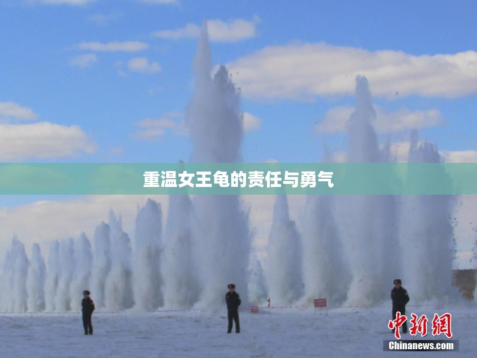 重温女王龟的责任与勇气