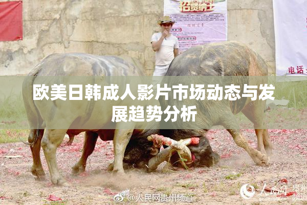 欧美日韩成人影片市场动态与发展趋势分析