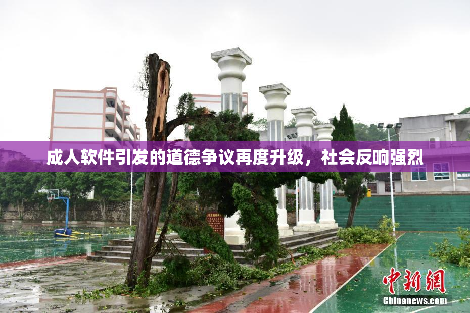 成人软件引发的道德争议再度升级，社会反响强烈